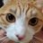 さとみ(やきのり)のアイコン