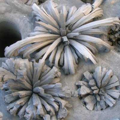 CAQu (j'ai eu ma leçon). Débat, idée, remise en Q?. Je ne crois pas en la science, on croit à la ⛪🕌🕍. Mais je crois à la démarche scientifique.