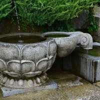 RjK (@rojungk) 's Twitter Profile