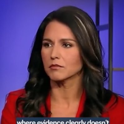 I am a huge Tulsi Gabbard fan and she would be one of the best presidents in history