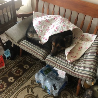 joe9449's profile picture. Lover of Sarah, wordsmith book reader, hockey baseball, wrestling, fanatic life is better set to music