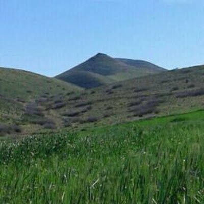 Mohamed28161771's profile picture. Mohamed El Jaouhari