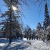Robert the Spruce 🇺🇦🇺🇦🇨🇦🇨🇦 (@bufshuf) Twitter profile photo Robert the Spruce 🇺🇦🇺🇦🇨🇦🇨🇦 (@bufshuf) Twitter profile photo