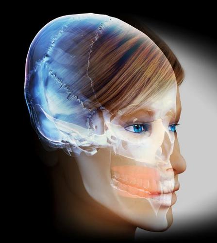 ottonielt's profile picture. 