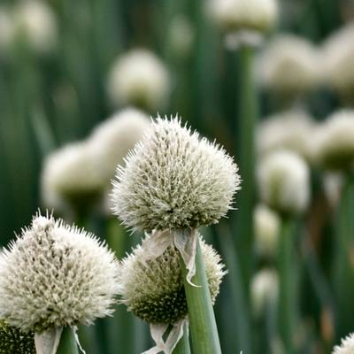 IamTanun's profile picture. 90年代ビジュアル好き(浅く狭く)
静夢(D≒SIRE)のデモテープを聴いてからは幸也さんの虜。(死ぬまで心の中で応援します)
ロックバンドのバラードが好物🤤
今はGenerich.😘
プロレスも好き。雑多アカでごめんなさい。
無言フォロー大歓迎。無言フォロー失礼します。
ねぎボイス、ねぎ詩で🔎してみて下さい🙇