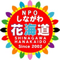 しながわ花海道 (@47hanakaido) 's Twitter Profile Photo しながわ花海道 (@47hanakaido) 's Twitter Profile Photo
