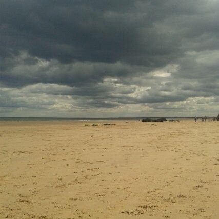 PresidentWh0's profile picture. Thrive in '25!