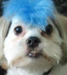 SWEETTHNAG31's profile picture. 