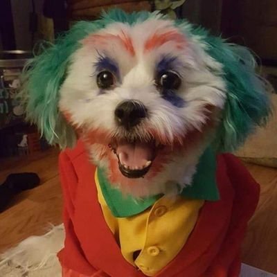 purpleground08's profile picture. 🗿🍷