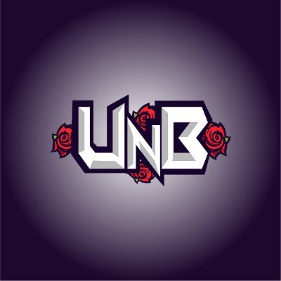 UnB Gaming - Organization