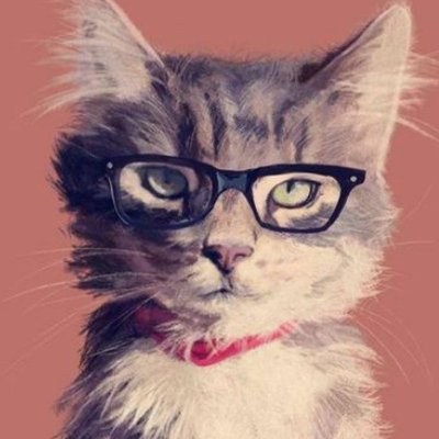 zinia's profile picture. F*CK ISRAEL!