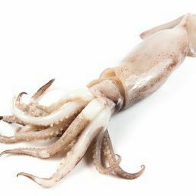 bVvUy8tKUGbi3bo's profile picture. 