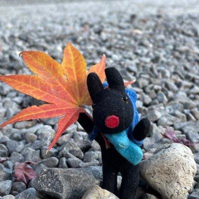 異動先は天国か!いやただちゃんと仕事する人たちのトコロにいるだけですw なんかいみわからんこと💢も多々あるけど、今年も生き延びていくぞ!