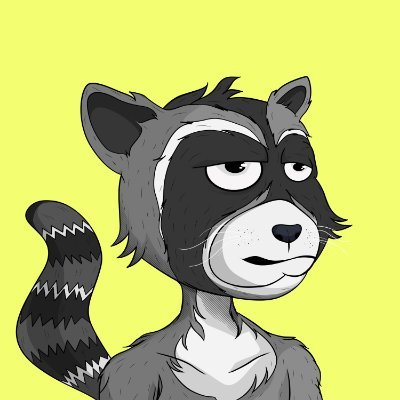 LAZY RACOON SOCIETY Profile