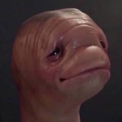 themetadawg's profile picture. I live on @discord. GM 👋