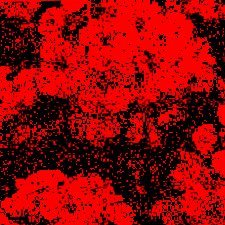 kamfiji1's profile picture. another day in paradise.