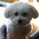 Danielle Strike - @dstrikez - Twitter