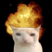 kebbsさんのプロフィール画像