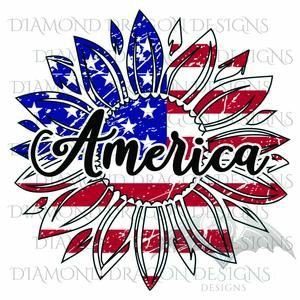 WhereLibertyD's profile picture. Working to elect Donald J Trump as our 47th President of the United States. #MAGA
#Constitution #Conservatives #DefendTheBlue #2A #CruzCrew