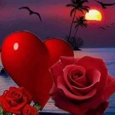 abrahym_mhmdhsn's profile picture. 