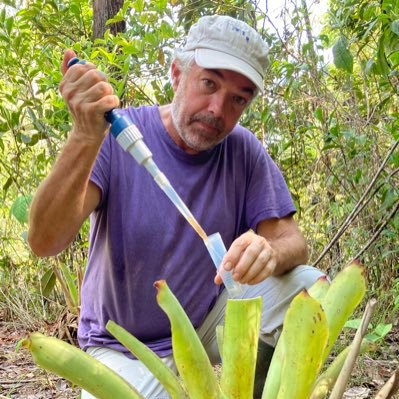 Professor of biology, freshwater microbial food webs, protists, lakes, bromeliads, University Clermont Auvergne