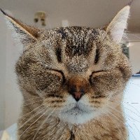 Dudu Schwartz (@schwartz_dudu) 's Twitter Profile Photo Dudu Schwartz (@schwartz_dudu) 's Twitter Profile Photo