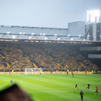 DnewmanMark's profile picture. 