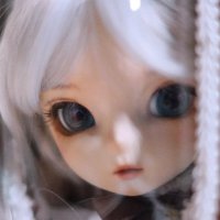 dedededexuan (@dedededexuan) 's Twitter Profile