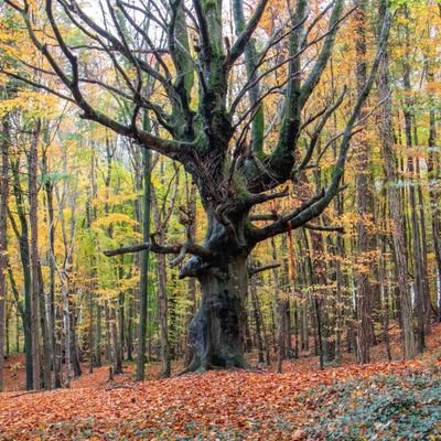 Journey94616079's profile picture. Live every day to the fullest