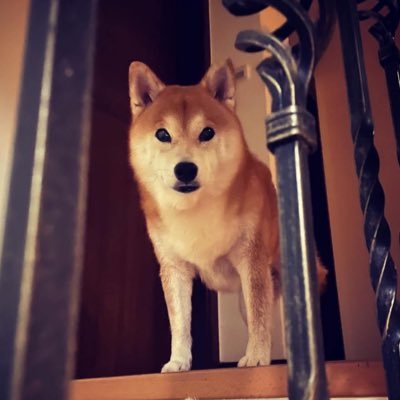 ethan_cic's profile picture. 業餘韭菜，興趣使然 @EVGHQ