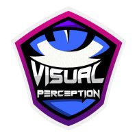 VisualPerceptionEsports (@visualpercepti4) 's Twitter Profile