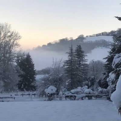 Floryanna2's profile picture. « Qu’il est épuisant d’expliquer qu’une bêtise en est une, quand elle vous est imposée par des gens qui se pensent supérieurs et intelligents…. John Joos »