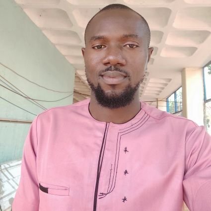 Chibuike_1990's profile picture. Software Engineer