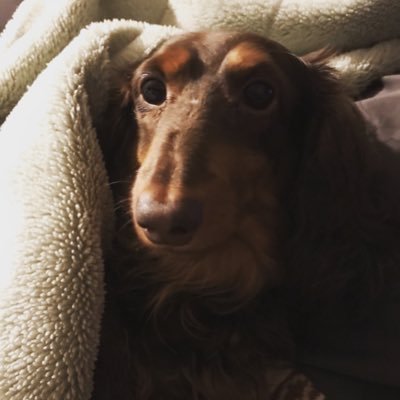 Psychopass_dear's profile picture. 初めまして友達からよろしくお願いします！