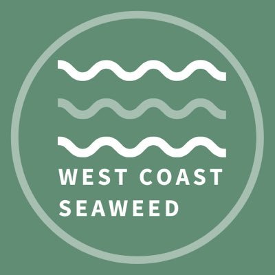 Seaweed farming Scotland 🌊 🌱