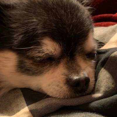 AsA34000772's profile picture. 