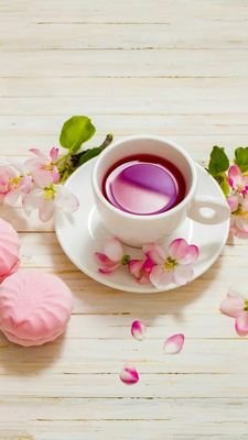 Hope74139808's profile picture. Life