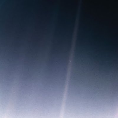francovitsj's profile picture. environmental lawyer / engineer
