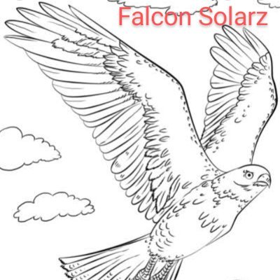 Falcon Solarz