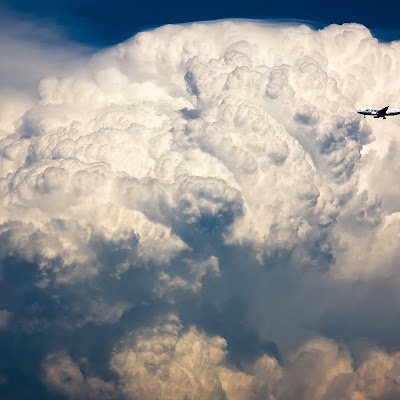 elliot_woodford's profile picture. 