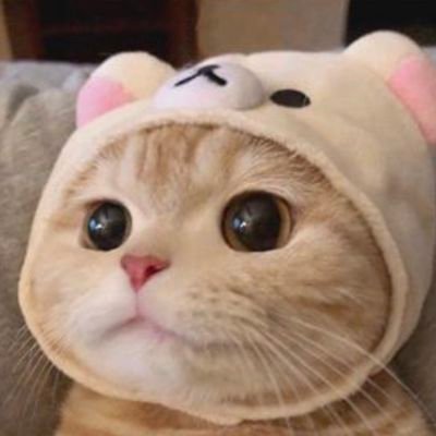 공부하는 06 / ENFP의 ENFJ가 되기위한 여정✈
2022.01.10~