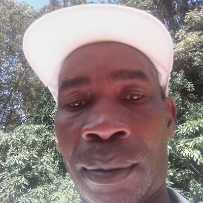 PeterNdigirigi4's profile picture. 