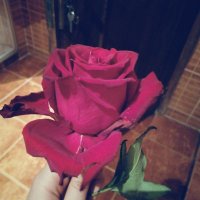 حياه اجمل (@hyahajml) Twitter profile photo