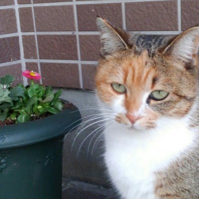 sxOhCZYgv0kurU7's profile picture. 