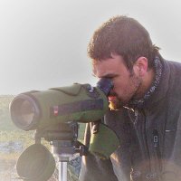 Sergio de Miguel (@sermigmag) 's Twitter Profile