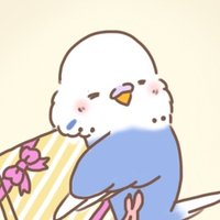 すこやかインコ(@skyk_ink) 's Twitter Profile Photo