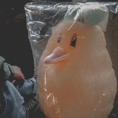 khoridiatus's profile picture. Netto : 50% perasaan & 50% pikiran