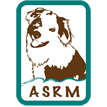 Australian Shepherd Rescue IL, WI, MN, MO, MI Dog Shelter Pet Adoption Pet Rescue Aussie Lethal Whites Double Merles Aussie Rescue