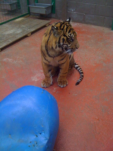 janeej's profile picture. 