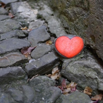 BRamona85's profile picture. Always laugh when you can, it's a cheap medicine